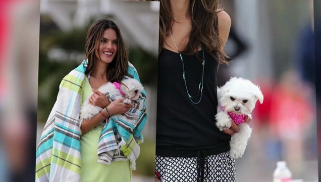 Alessandra Ambrosio Sizzles in Bikini Photoshoot