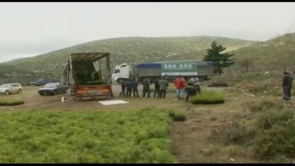 Το ταξίδι του σπόρου