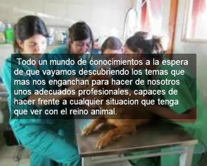 Estudiar derecho en UDLA, la mejor decision para tu futuro.
