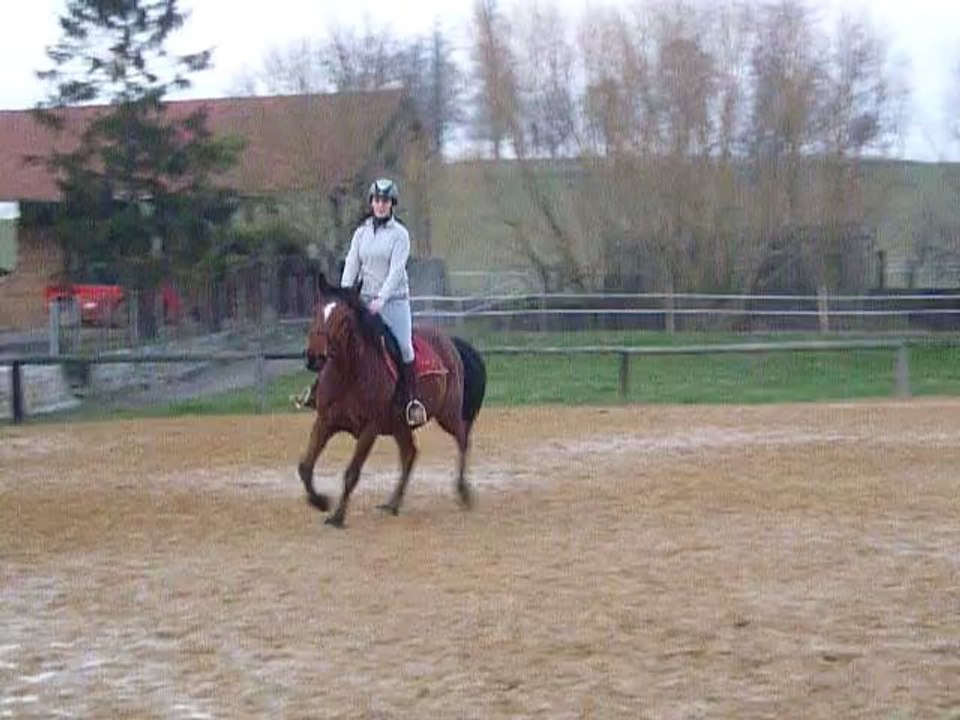 au galop