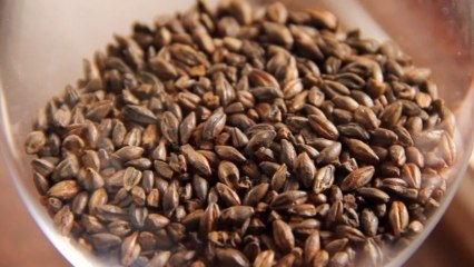 Introduction To All Grain Brewing