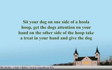 Teaching your Dog Tricks