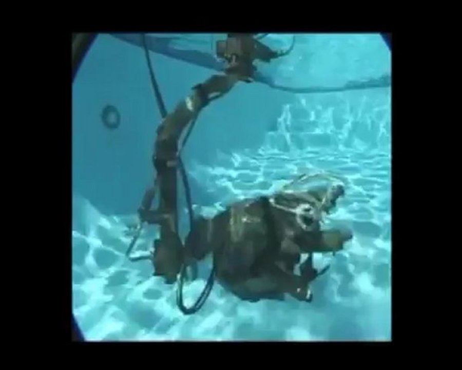 Amphibian Remote Head and Hydrascope in and out of water!