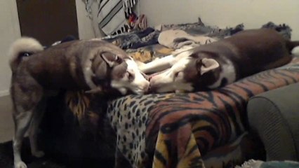 Watch Kyzak & Rydik show you how to make money while playing and making videos!