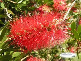 Johnny Reid - Love Sweet Love - YouTube