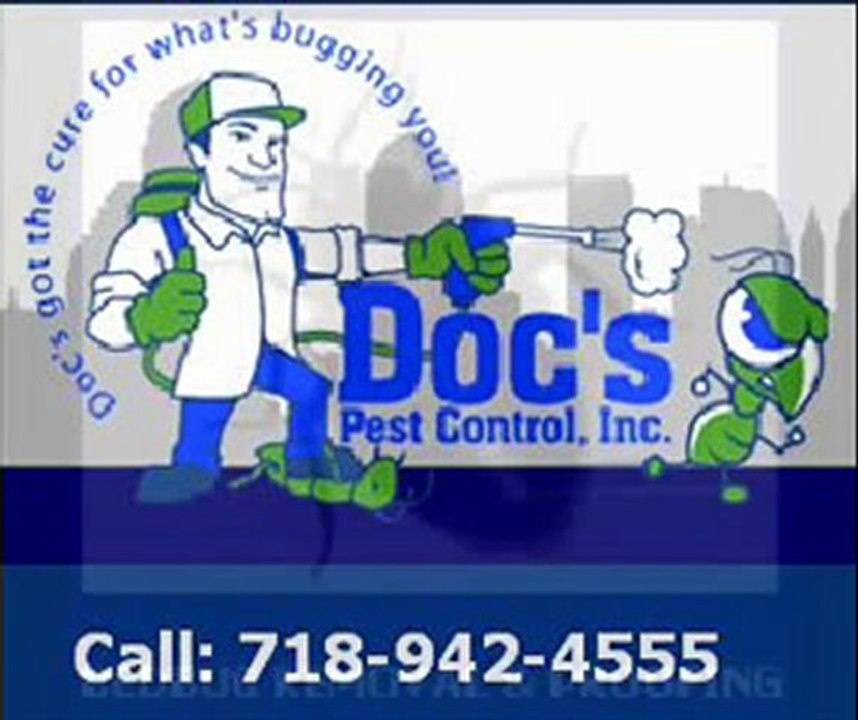 Bed Bugs Staten Island