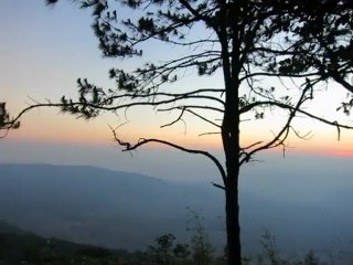 Phu ruea national park