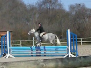 Hunter club 2 Maniabilité Soleil et Cybèle 03-03-2013