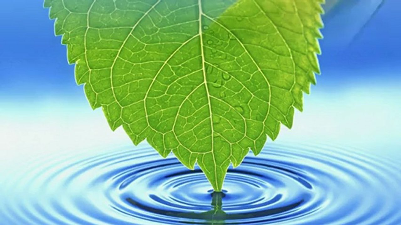 L'Extraordinaire Aventure...