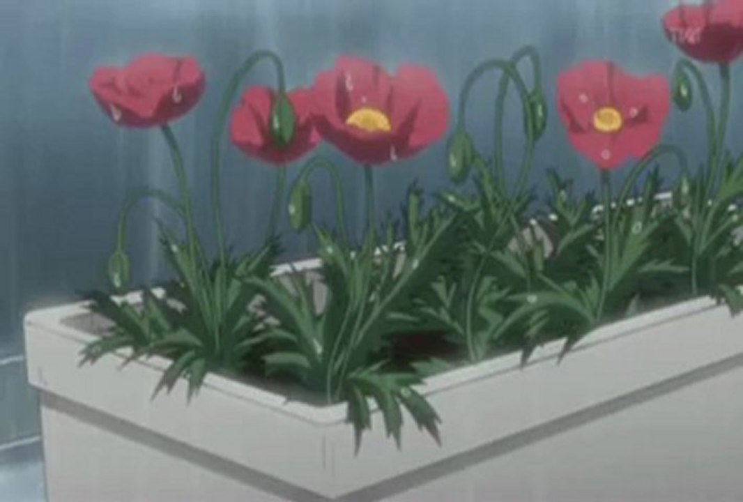 Is There Anyone Left