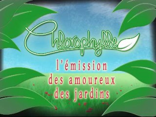 Chlorophylle épisode 34 sur Télé Doller
