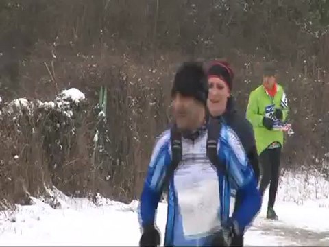 Trail 2013 Lavault-Sainte-Anne - Extrait Cougour