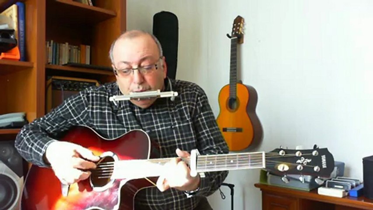 Le petit âne gris (Hugues Aufray) Reprise