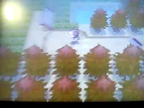 Pokemon version blanc 2 . 11 ) Les secrets de la foret empoigne