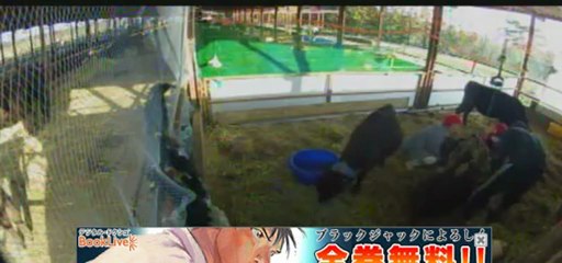 20130304　福ちゃんマッサージ