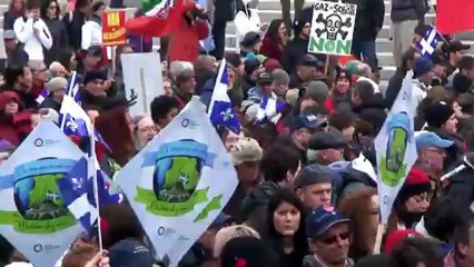 Jour de la Terre / Lecture du manifeste