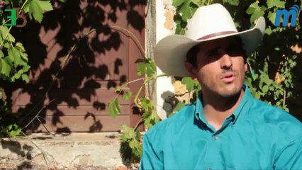 Luc Giordano Equitation Western