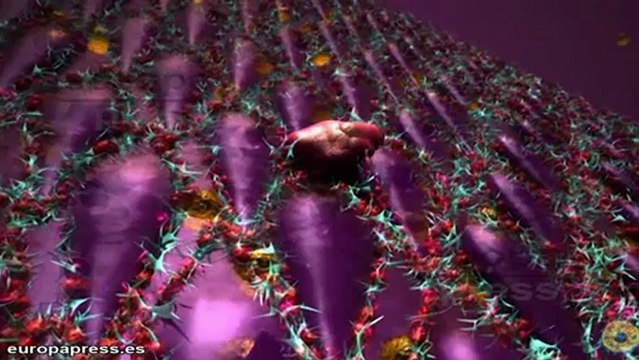 La Fundación Botín impulsa tres nuevas empresas para combatir el cáncer, diseñar fármacos e inmovili