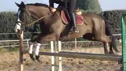 Gymnastique d'après Concours Duck