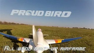 Great Planes Proud Bird EF1 Sport Racer ARF