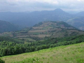 Halimiz Ahvalimiz   -  gam çekme haline