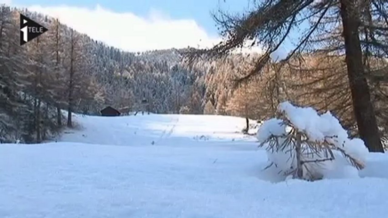 Avalanche dans les Alpes : 4 morts