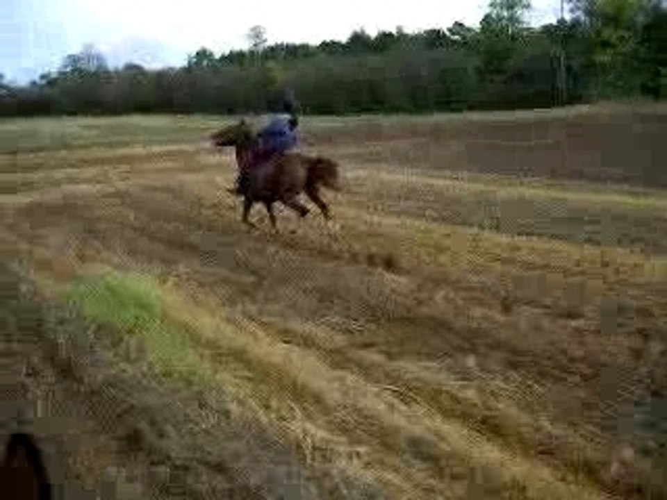 galop dans les champs
