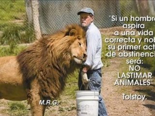 Protesta contra el maltrato animal-Loquendo