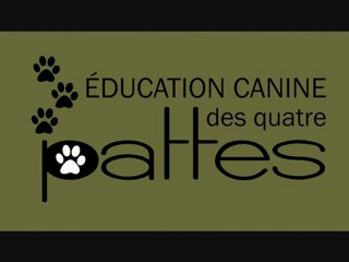Éducateur canin : trois mythes sur les chiens