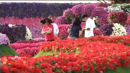 الحديقة المعجزة  في دبي.. أكبر حديقة زهور بالعالم