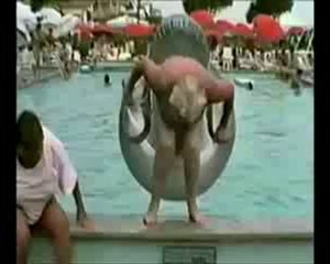 나인바카라┳┳┳┳ ＱＣＨ１３８.ＣＯＭ ┳┳┳┳나인바카라