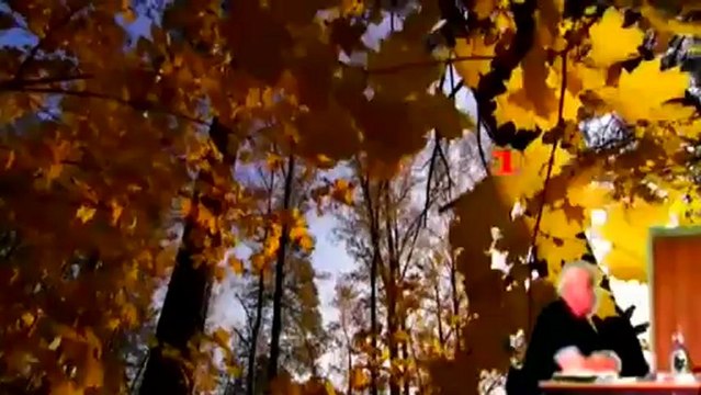 Сенсации -2013- Развитие и задачи КОБ