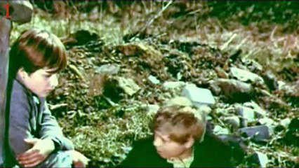 АВМ-СССР -2013- Сознание Мироздания Людей