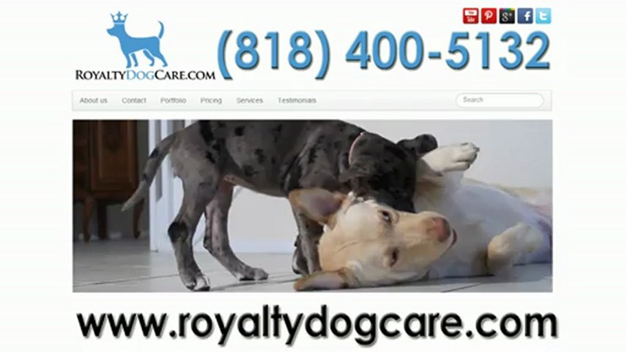 Dog Walking Studio City CA, Licensed & Insured | Royalty Dog Care