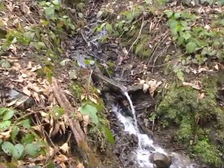 MEHMET ŞAHİN İÇİN YÜRÜDÜLER ÇAMLIHEMŞİMDE