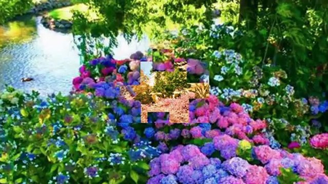 AYLİN ŞENGÜN TAŞÇI-SEN BENİM GÖNLÜMDE AÇAN SON GÜLDÜN