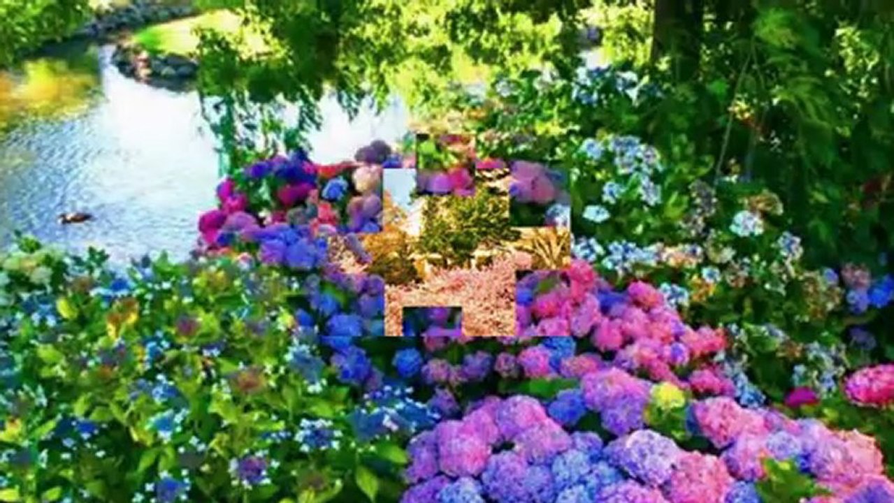 AYLİN ŞENGÜN TAŞÇI-SEN BENİM GÖNLÜMDE AÇAN SON GÜLDÜN