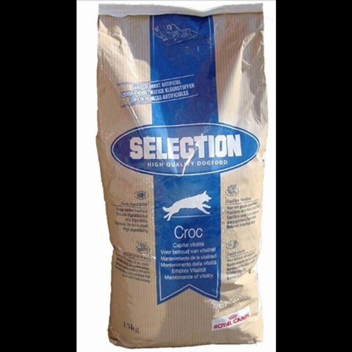 ilgazpet.com köpek kedi kuş balık hemster yem mama aksersuar videosu