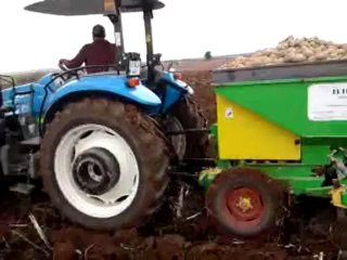 2012 sezonu patates Ekimi