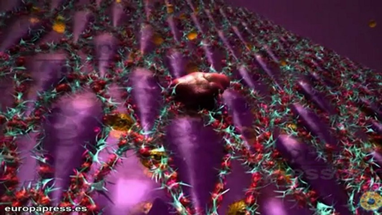 La Fundación Botín invierte 1'5 millones de euros para impulsar nuevos proyectos tecnológicos