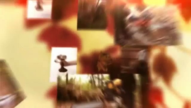 Acadian Stump & Tree Service (985) 285-9827