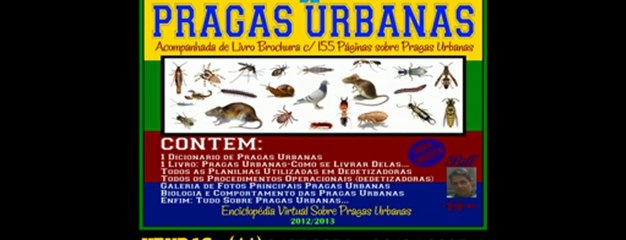 Dedetização em São Paulo 11 3427 2276 Dedetizadoras em SP