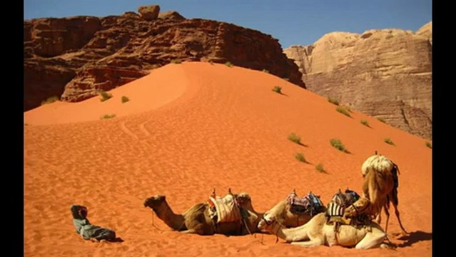 Petra & Wadi Rum vacations - Enjoy your time