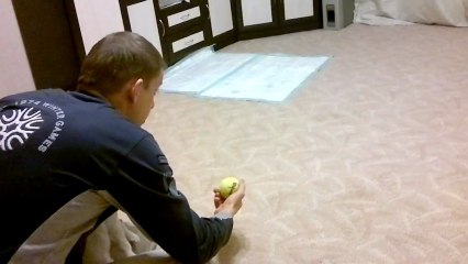 РОС Белка - тренируем подачу. 1 мес.26дн.