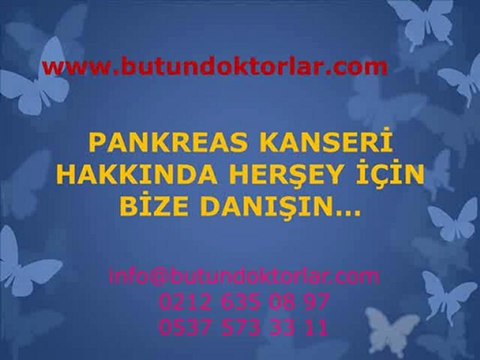 Pankreas Kanseri,Pankreas Kanseri Belirtileri,Pankreas Kanseri Evreleri,