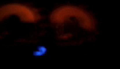 turbotitine mazda 323 gts/x lol petite crise de nerfs 0.87bar