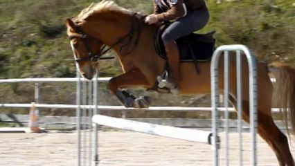 Ricoré de fioni - PFS - 1,45m - 7ans - CSO
