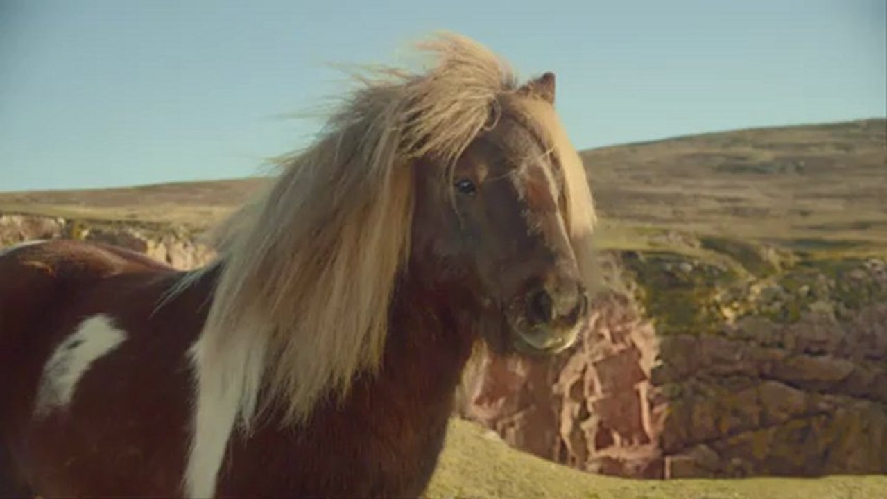 Three - The Pony #DancePonyDance