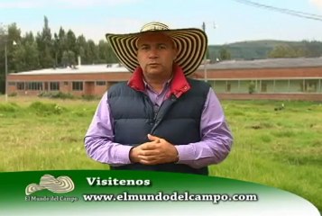 6 de marzo ICA Inocuidad web