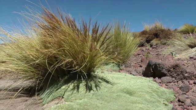 Parcours Chili, KORKE Tel : +56 227594006 Partez à la découverte du Chili